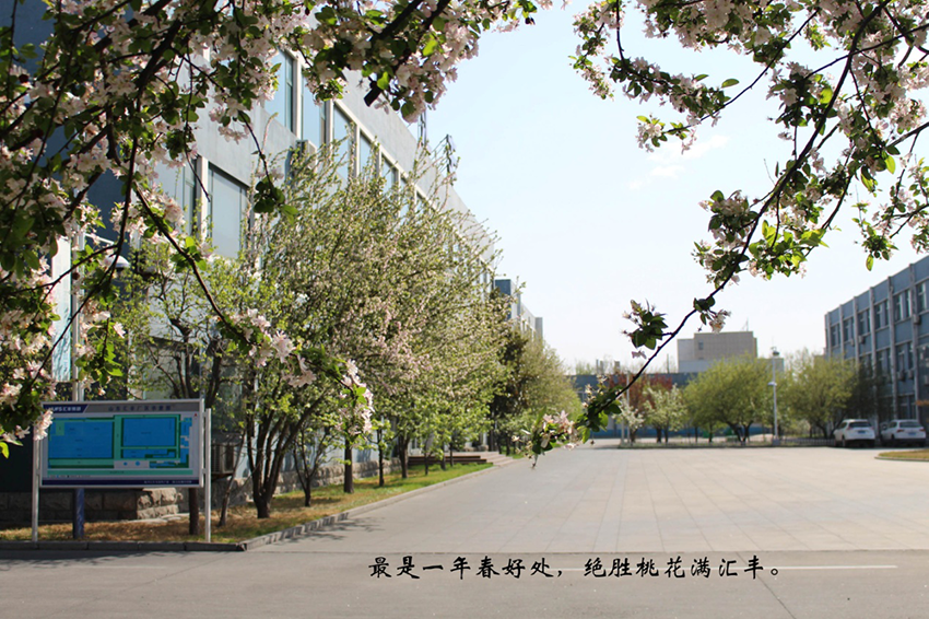 济南供应驱动轴价格