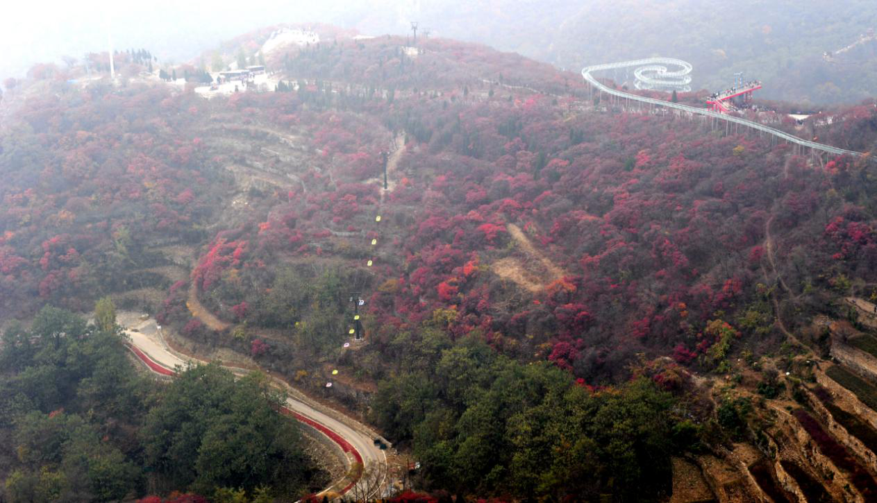 团建活动