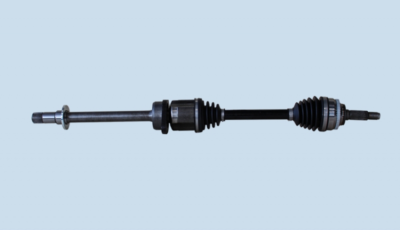 long handle and stand CVJ